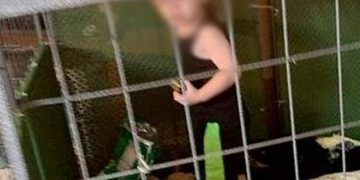 Alldaynews.gr Φρίκη:  Μωρό ενός έτους ζούσε σε κλουβί μαζί με βόα, κατσαρίδες και περιττώματα