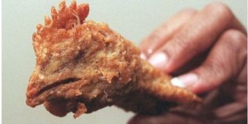 Πως φτιάχνονται οι κοτομπουκιές – Βίντεο ΣΟΚ!