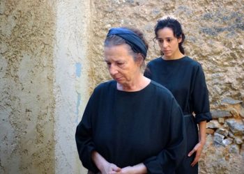 Άγριες Μέλισσες