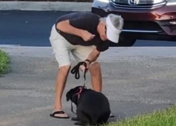 Αγριότητα από ιδιοκτήτη σκύλου: Χτυπάει με μπουνιές το τρομαγμένο σκυλί του (Video)