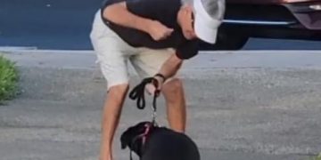 Alldaynews.gr Αγριότητα από ιδιοκτήτη σκύλου: Χτυπάει με μπουνιές το τρομαγμένο σκυλί του (Video)