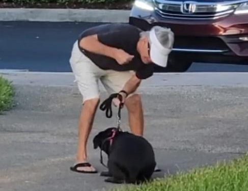 Alldaynews.gr Αγριότητα από ιδιοκτήτη σκύλου: Χτυπάει με μπουνιές το τρομαγμένο σκυλί του (Video)