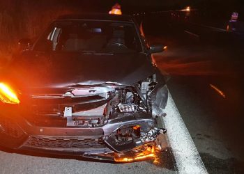 Νεκρή αρκούδα, μετά από τροχαίο στην Εγνατία Οδό (pics, video)