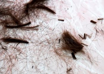 κούρεμα τρίχες