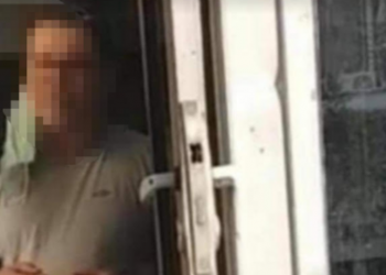 καθηγητής επίθεση σε σκύλο