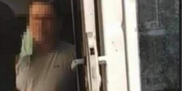 καθηγητής επίθεση σε σκύλο