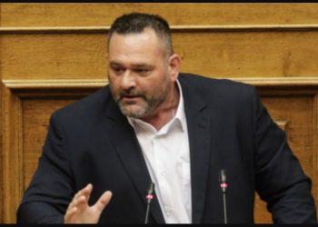 Λαγός και Γεωργούλης: 25.000€ το μήνα οι αμοιβές των ευρωβουλευτών μας!