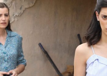 Άγριες Μέλισσες