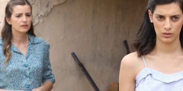 Άγριες Μέλισσες