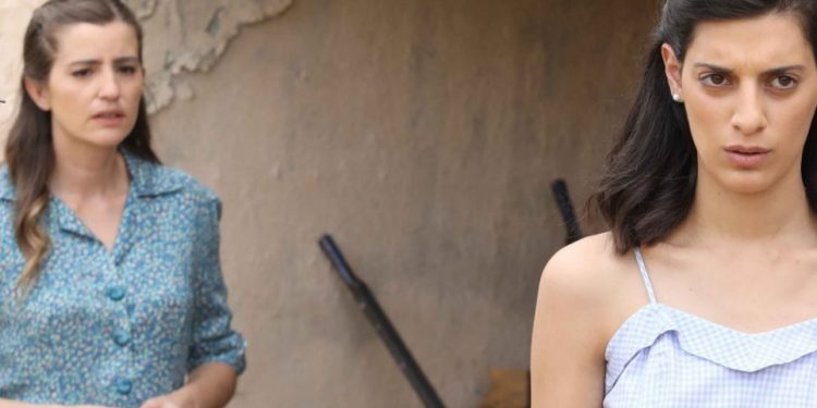 Άγριες Μέλισσες