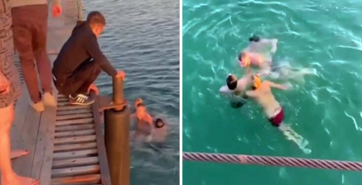 Alldaynews.gr Παράλυτος άντρας βουτάει για να σώσει άνθρωπο που πνίγεται στο ίδιο σημείο που συνέβη το ατύχημά του (video)