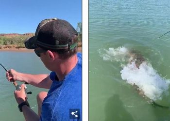 Ψαράς έκανε την ψαριά της ζωής του – Τραβούσε το καλάμι του και είδε ότι είχε πιάσει ένα… (Video)