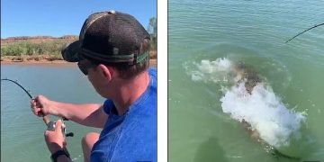 Ψαράς έκανε την ψαριά της ζωής του – Τραβούσε το καλάμι του και είδε ότι είχε πιάσει ένα… (Video)