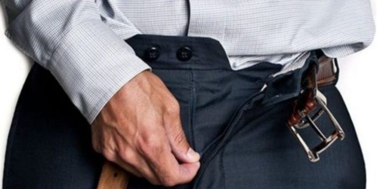 40χρονος Αλβανός αυνανιζόταν σε πάρκο κοιτώντας μητέρα με το παιδί της