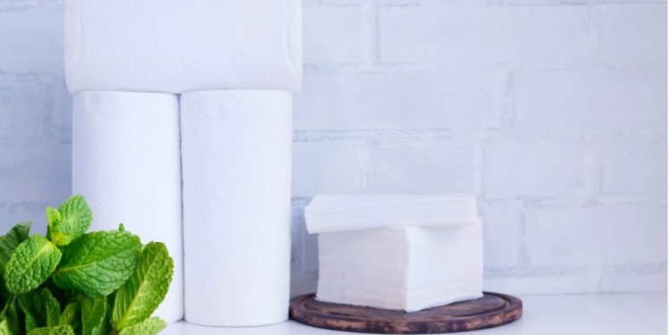 Alldaynews.gr Τρία πράγματα που δεν πρέπει ποτέ να καθαρίζετε με χαρτί κουζίνας