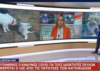 Αυξημένο κίνδυνο να ασθενήσουν με κορωνοϊό έχουν οι ιδιοκτήτες σκύλων