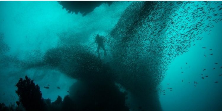 Alldaynews.gr Τάφρος των Μαριανών: Τι κρυβόταν στα άγρια νερά του βαθύτερου σημείου του πλανήτη