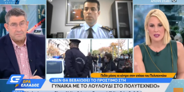 Alldaynews.gr Δεν θα πληρώσει πρόστιμο η γυναίκα που πήγε να αφήσει ένα λουλούδι στο Πολυτεχνείο