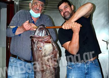 Η ψαριά της ζωής τους! Πιάστηκε σε χοντρό παραγάδι και για να σηκωθεί χρειάστηκαν 4 χέρια (pics)