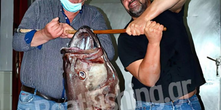 Alldaynews.gr Η ψαριά της ζωής τους! Πιάστηκε σε χοντρό παραγάδι και για να σηκωθεί χρειάστηκαν 4 χέρια (pics)