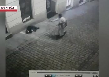 Μακελειό με 4 νεκρούς στη Βιέννη: Βίντεο σοκ με δράστη να πυροβολεί εν ψυχρώ πολίτη – Πληροφορίες για ομήρους (video)