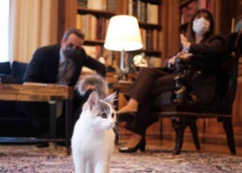 Ο Μητσοτάκης γνώρισε τη γάτα της Σακελλαροπούλου!