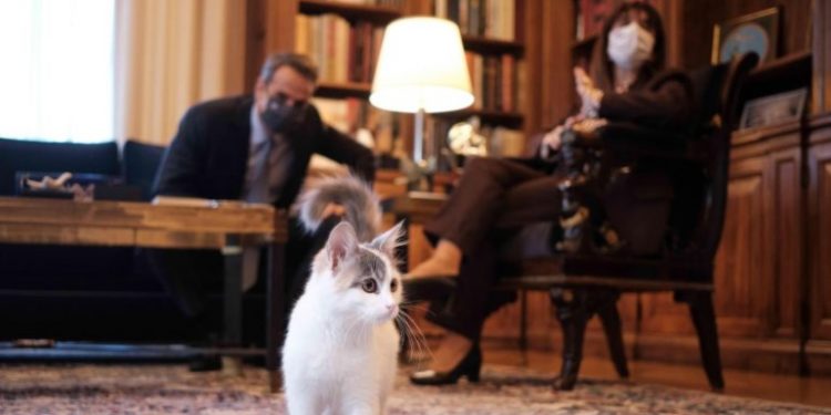 Alldaynews.gr Ο Μητσοτάκης γνώρισε τη γάτα της Σακελλαροπούλου!