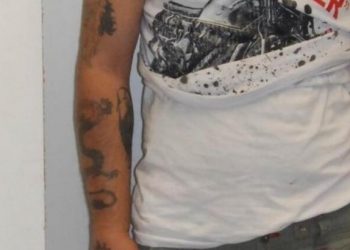 Δολοφονία Τσακανίκα: Είδε στο διαδίκτυο ότι ο εργάτης που ράβδιζε τις ελιές του ήταν δολοφόνος