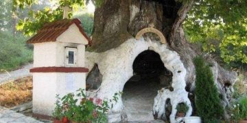 Alldaynews.gr Το Εκκλησάκι Της Παναγίας που βρίσκεται μέσα σε πλάτανο