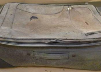 Θρίλερ Πριν Λίγο! Κυνηγός βρήκε Πτώμα γυναίκας μέσα σε βαλίτσα