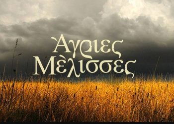 Alldaynews.gr Άγριες Μέλισσες: Έτσι θα αλλάξουν χρόνο στο Διαφάνι