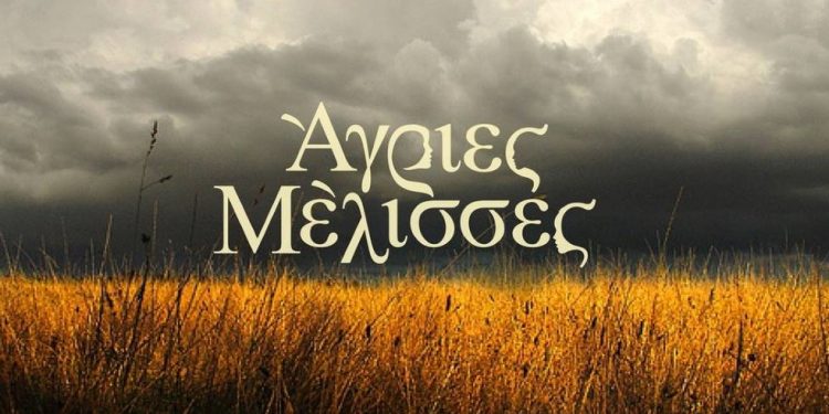 Alldaynews.gr Άγριες Μέλισσες: Έτσι θα αλλάξουν χρόνο στο Διαφάνι