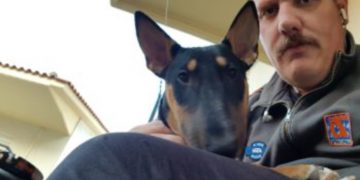 Aύριο η κηδεία του 36χρονου επιχειρηματία που αυτοκτόνησε