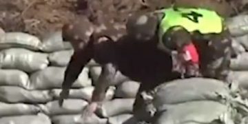 Alldaynews.gr Βίντεο που κόβει την ανάσα: Του πέφτει η χειροβομβίδα από τα χέρια και τον σώζει ο εκπαιδευτής