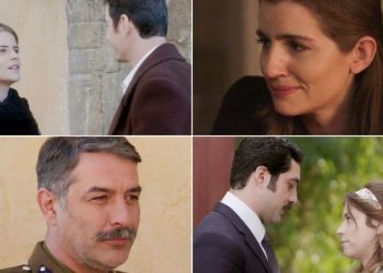 Alldaynews.gr Άγριες Μέλισσες melisses