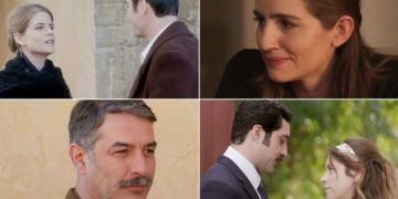 Alldaynews.gr Άγριες Μέλισσες melisses