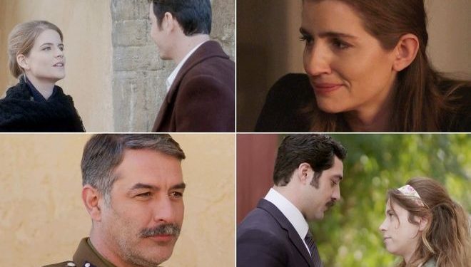 Alldaynews.gr Άγριες Μέλισσες melisses