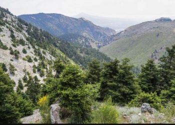 Για την Βόλτα Μητσοτάκη: Πέτσας-Η Πάρνηθα είναι Αττική, οι διαπεριφερειακές μετακινήσεις είναι που απαγορεύονται