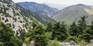 Alldaynews.gr Για την Βόλτα Μητσοτάκη: Πέτσας-Η Πάρνηθα είναι Αττική, οι διαπεριφερειακές μετακινήσεις είναι που απαγορεύονται