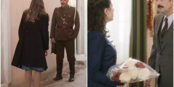 Alldaynews.gr Άγριες Μέλισσες