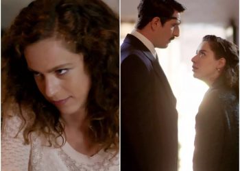 Άγριες Μέλισσες 16.12.2020