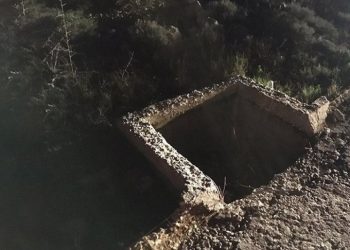 Πτώμα γυναίκας σε βαλίτσα: Εξετάζεται αν το DNA είναι της 19χρονης Άρτεμις