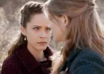 άγριες μέλισσες