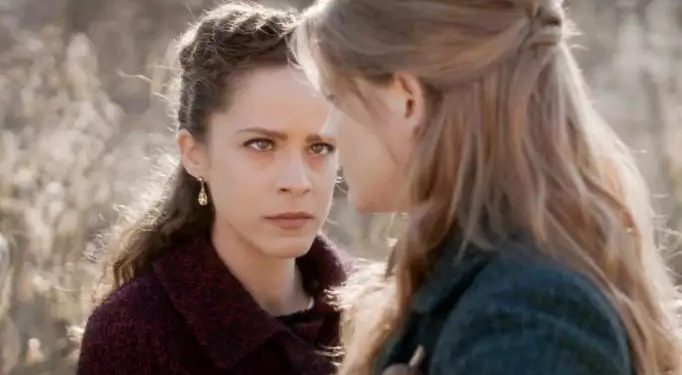 άγριες μέλισσες