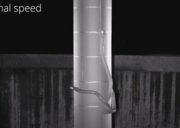 Άγρια Φύση: Επιστήμονες ανακάλυψαν φίδι που τινάζει το σώμα του σαν λάσο και σκαρφαλώνει παντού