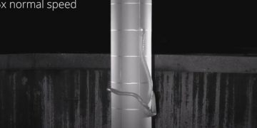 Alldaynews.gr Άγρια Φύση: Επιστήμονες ανακάλυψαν φίδι που τινάζει το σώμα του σαν λάσο και σκαρφαλώνει παντού