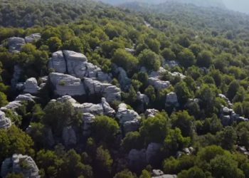 Πέτρινο Δάσος: Το εκπληκτικό και σπάνιο αξιοθέατο της Ηπείρου που λίγοι γνωρίζουν[video]