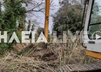 Οικογενειακή Τραγωδία: Θρήνος για τον Νίκο Τρίμη-Τον πλάκωσε ο γιός του με ερπυστριοφόρα