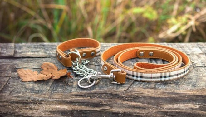 LOckDown-Περιοριστικά μέτρα: Δεν είχε κατοικίδιο και έβγαλε βόλτα με λουρί τον άντρα της!