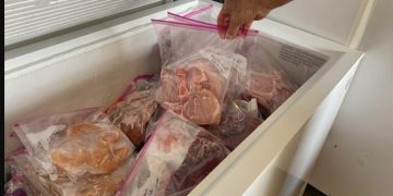 Alldaynews.gr Έκρυβε το πτώμα της μητέρας της στον καταψύκτη για δέκα χρόνια